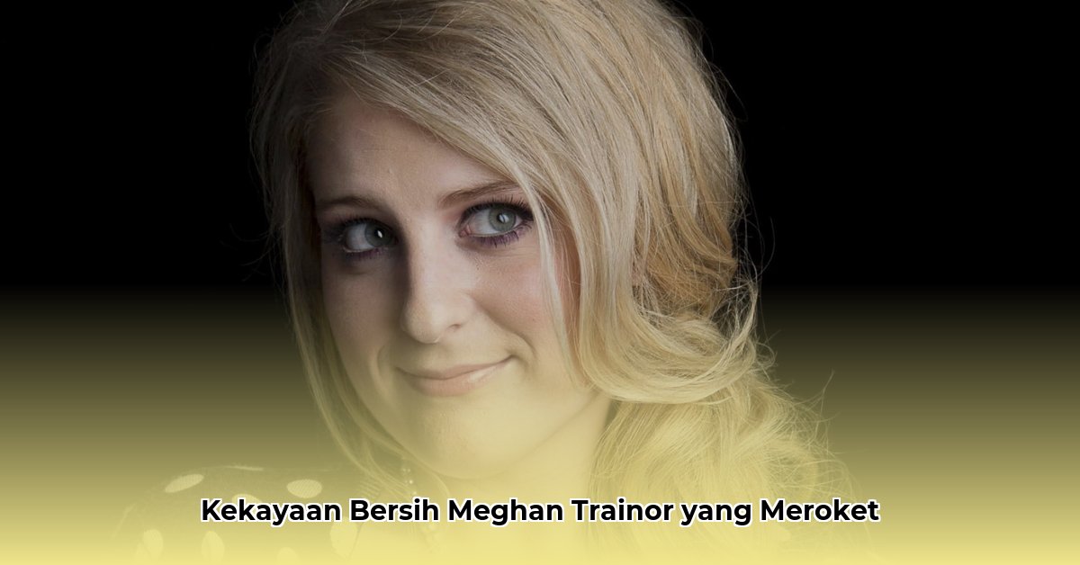 megan trainer net worth
